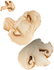 shape